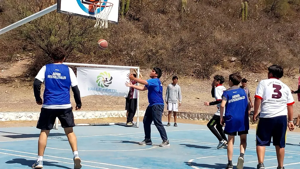 53201449955_5df2092c1d_b