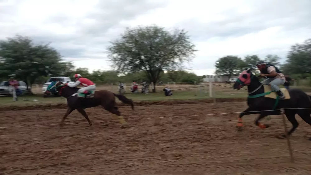 337536687_942183713794106_6811201353425011447_n