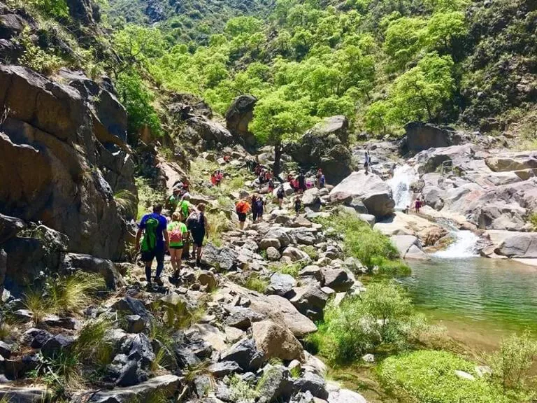 f768x1-329505_329632_5050