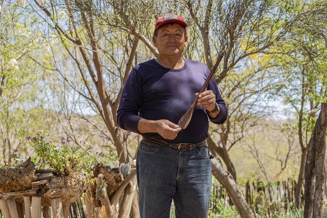 247115140_388672982911235_6708933947194488311_n