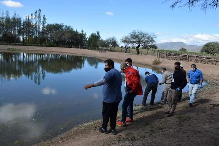 FB_IMG_1619200854745