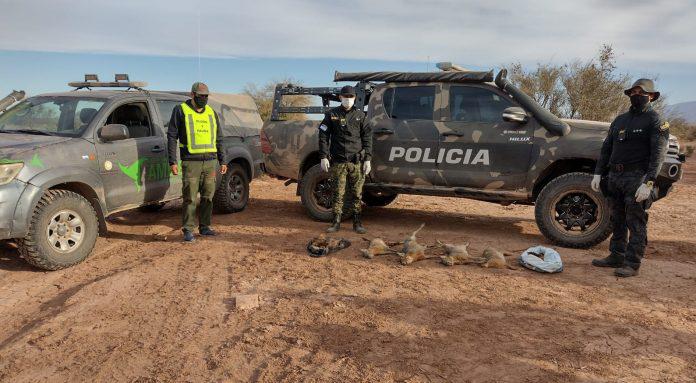 Caza-ilegal1-2-696x383