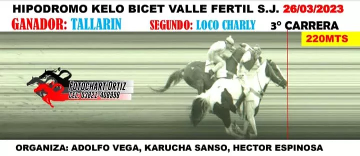 33333333333333333333