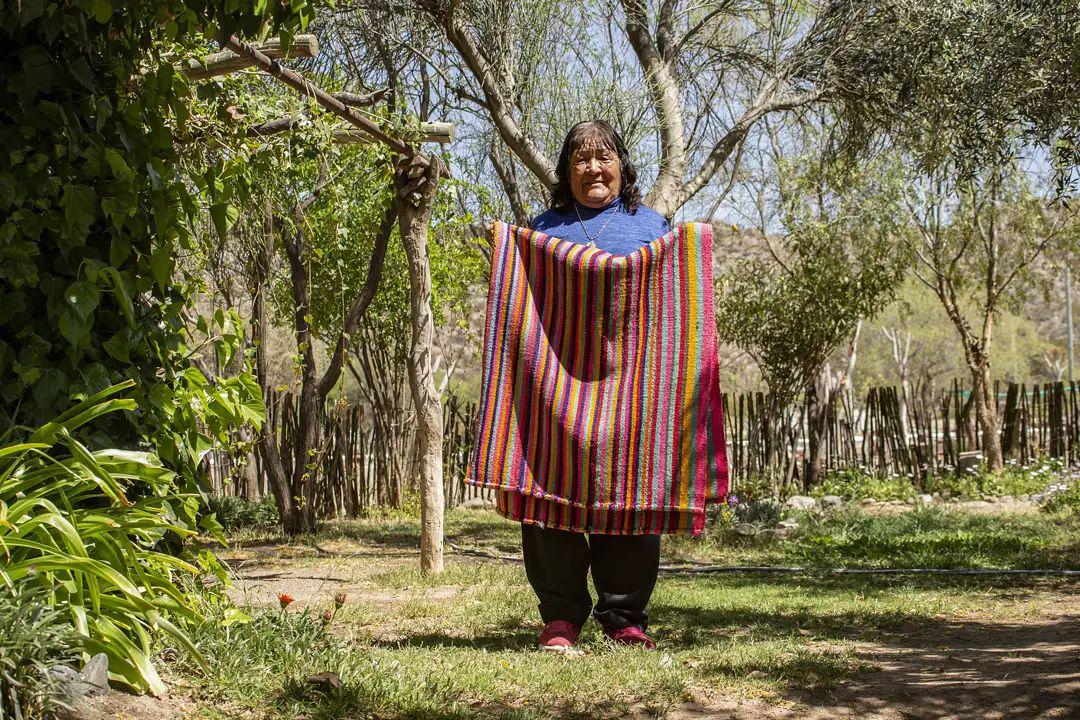 247276877_388673006244566_8182207660384750067_n