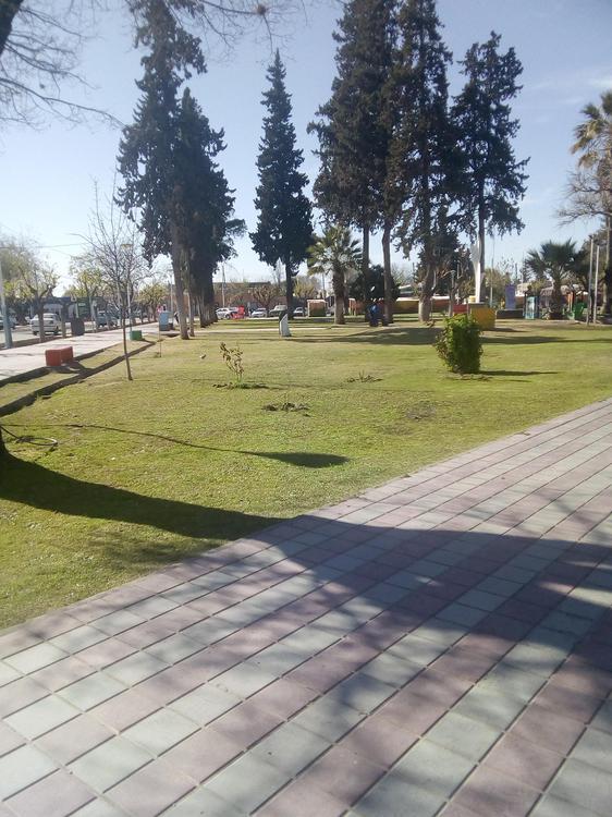 241165300_534752654498254_2415299187766752205_n