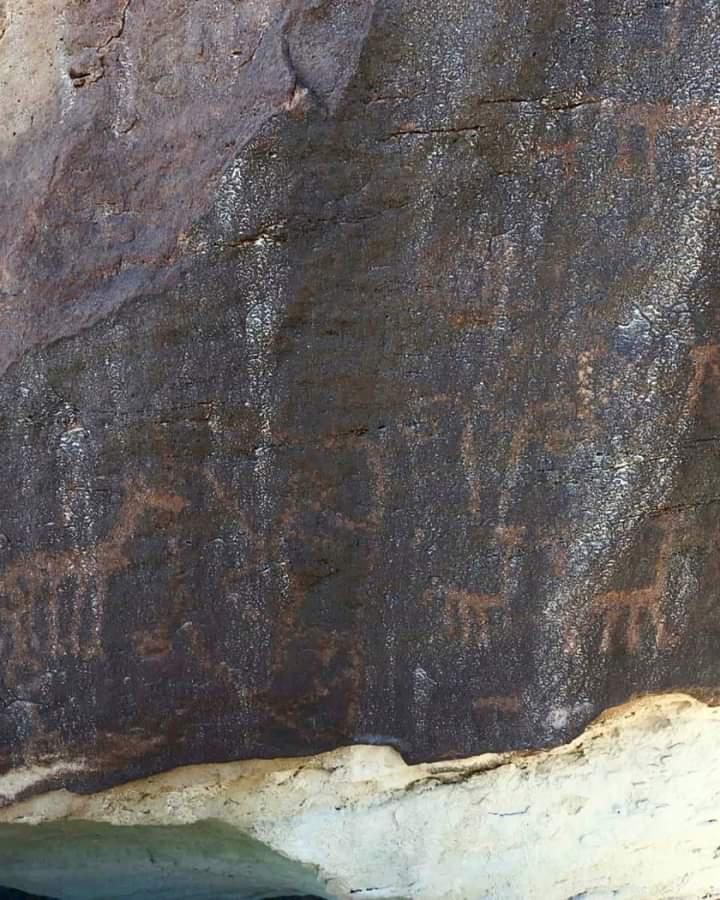 FB_IMG_1653402902497