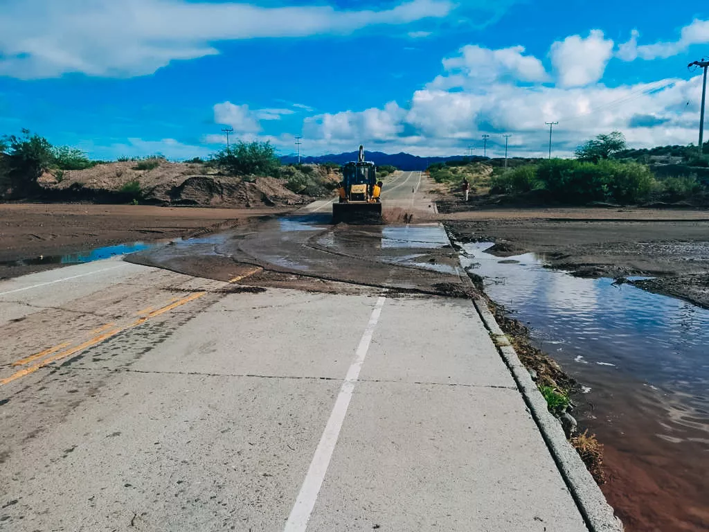 52749648779_0d746d162b_b