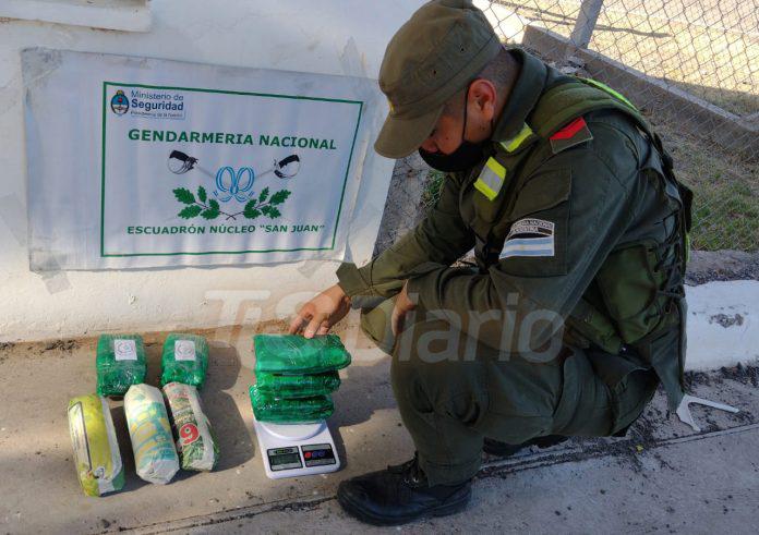 Hojas-de-coca-696x491