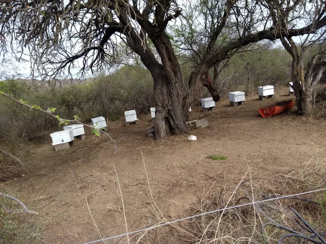 312724143_5498607866882048_1939258965890446719_n