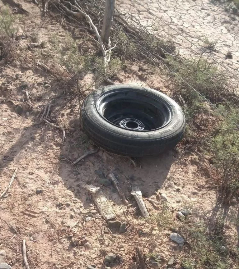 f768x1-336615_336742_5050