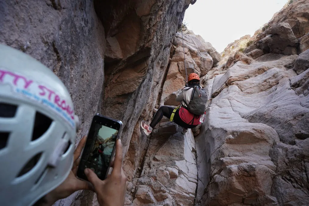 53082446686_8eb5668cfe_b