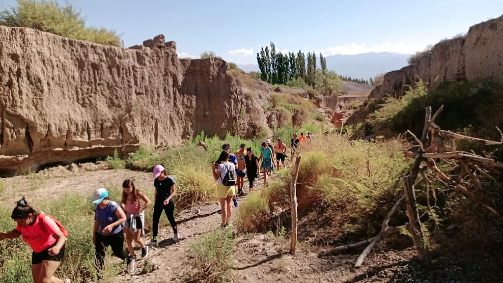 51811099466_142d9c8f09_b