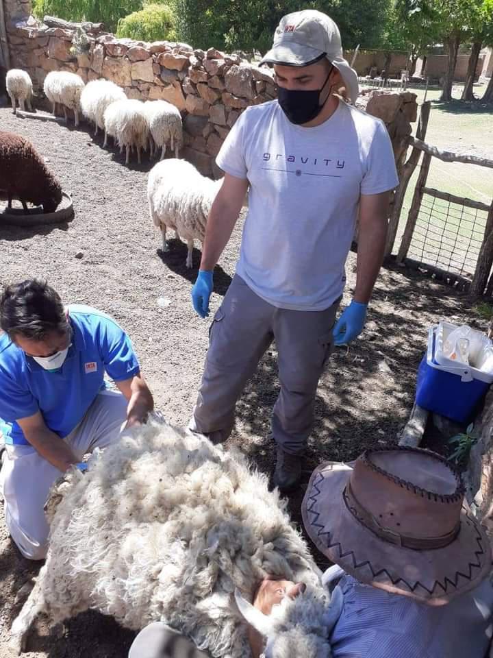 FB_IMG_1608071814576