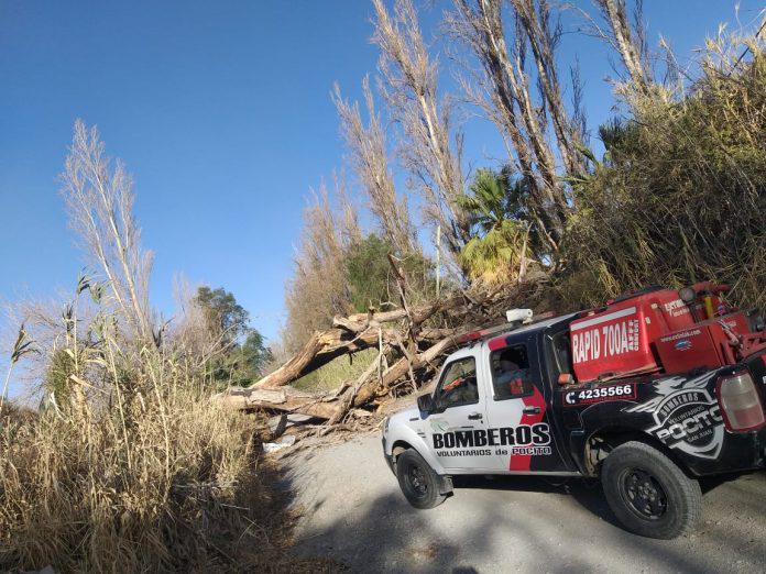 573e1786-9e86-4a4e-a2cd-0c2a35a13747-696x522