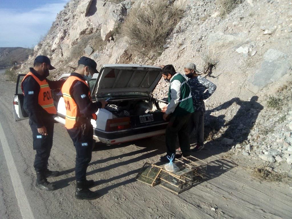 51386062350_252c7d5c69_b