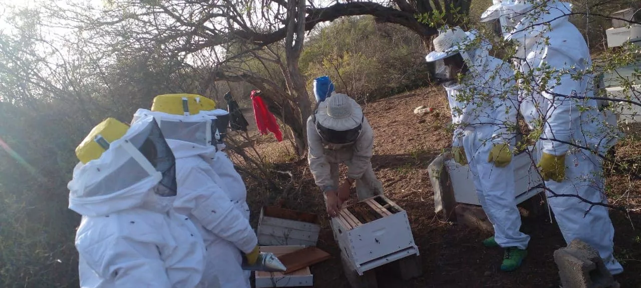 312652933_5498601096882725_2716043586588304727_n