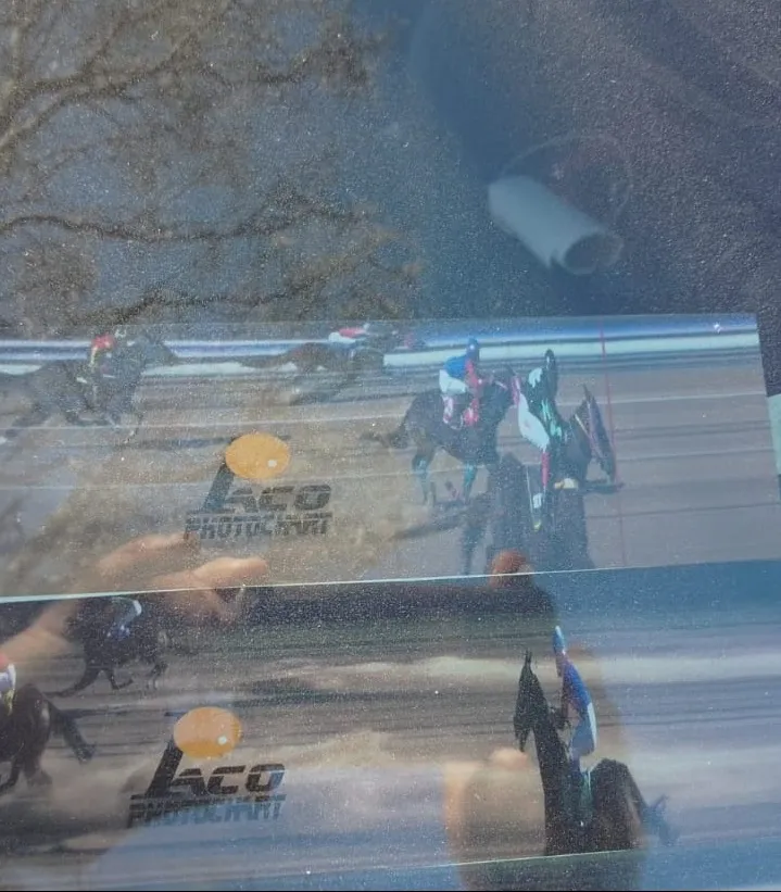 13c91ddd-fef4-432b-9be3-f138c928846d