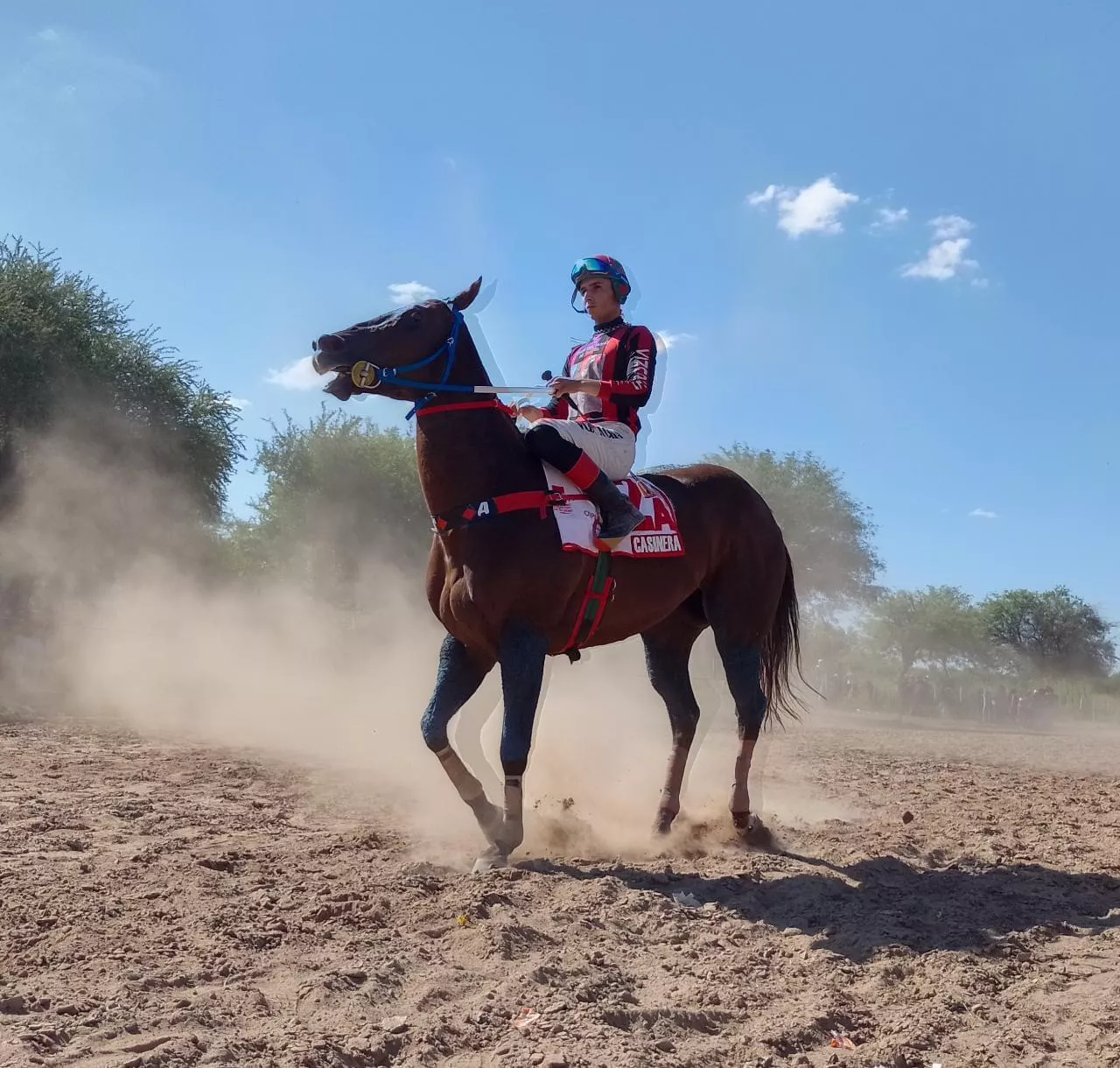 multimedia.normal.b1d7f3d316dc1292.3236383537383434385f3333303735383939383837383337345f3831313633375f6e6f726d616c2e6a7067