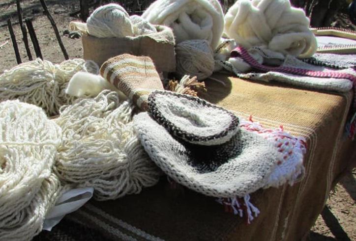 237234779_4350117205031451_1405285298373333778_n