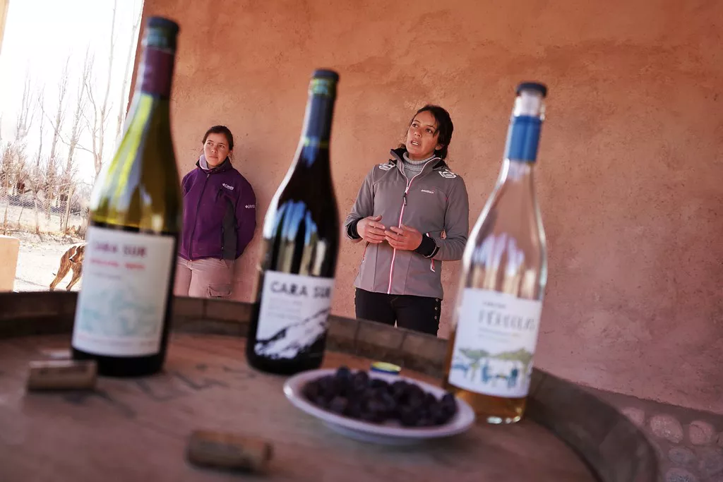 52232307438_bcd28b2dba_b