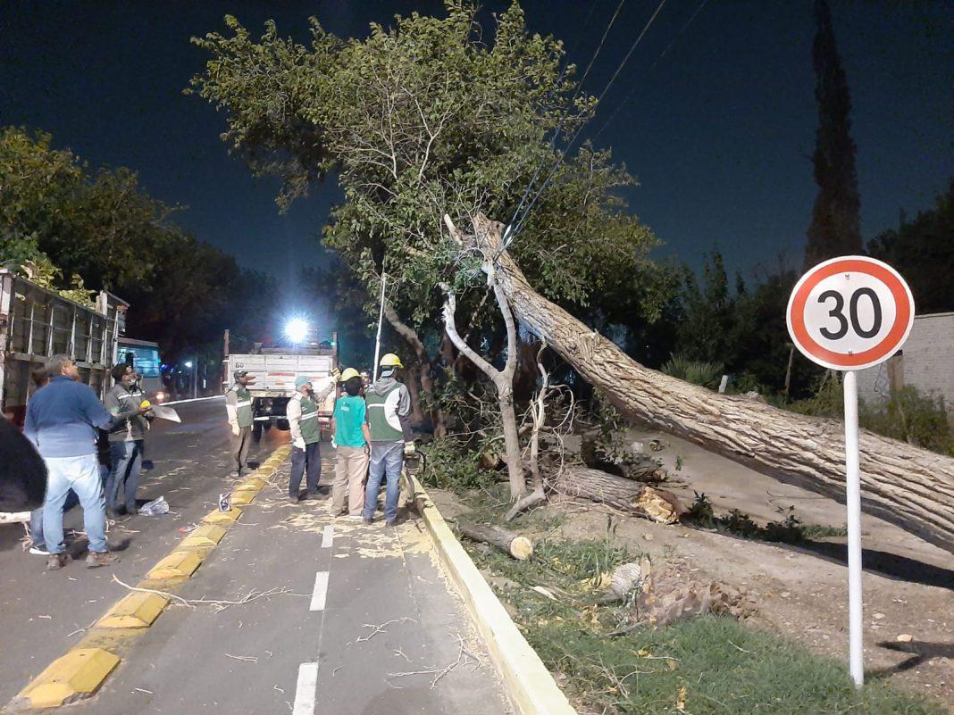 WhatsApp-Image-2022-03-24-at-8.14.41-AM-1068x801