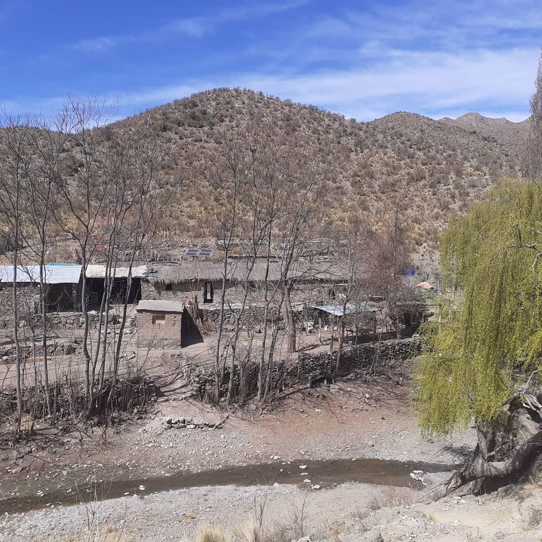 241694554_10158375924356198_7919274141439008055_n