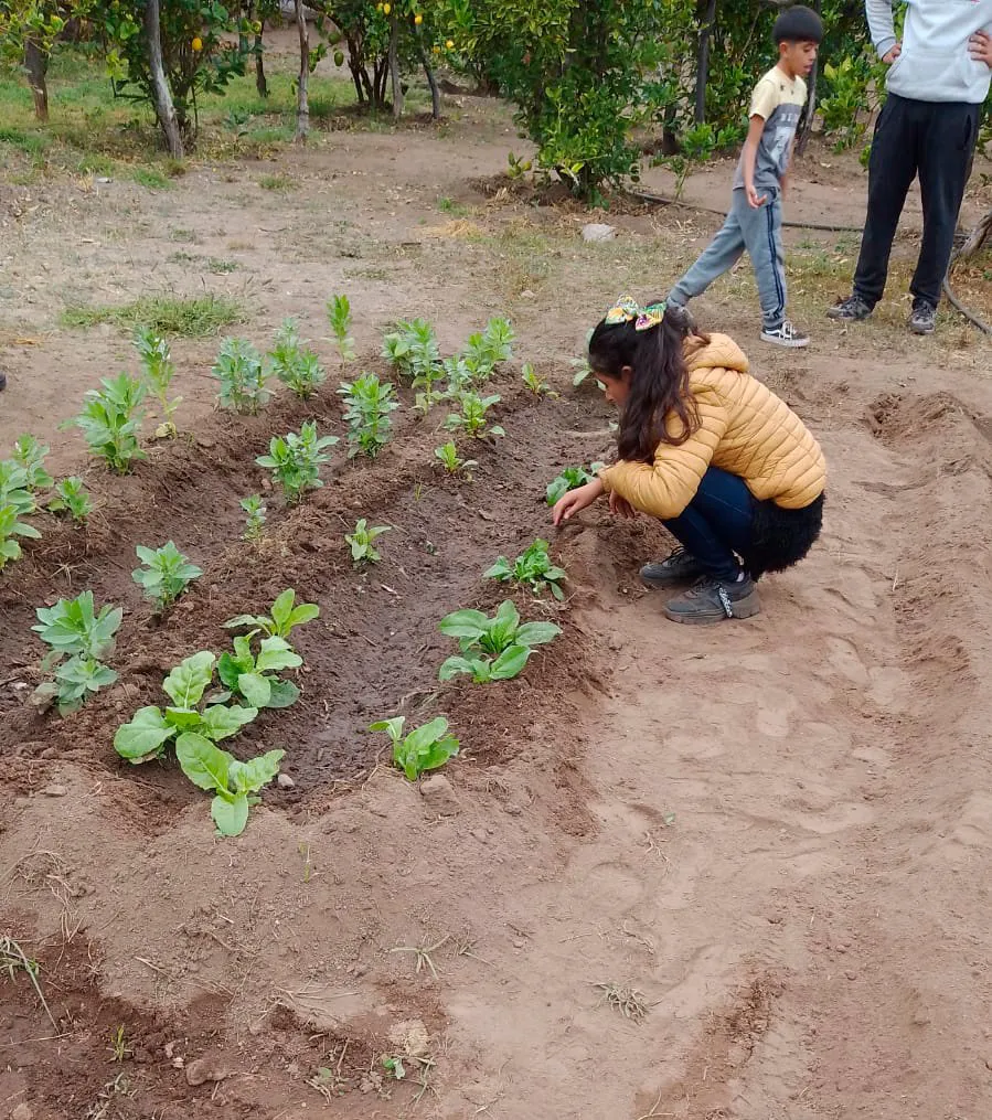 352408527_903299980762658_3194762935550930013_n