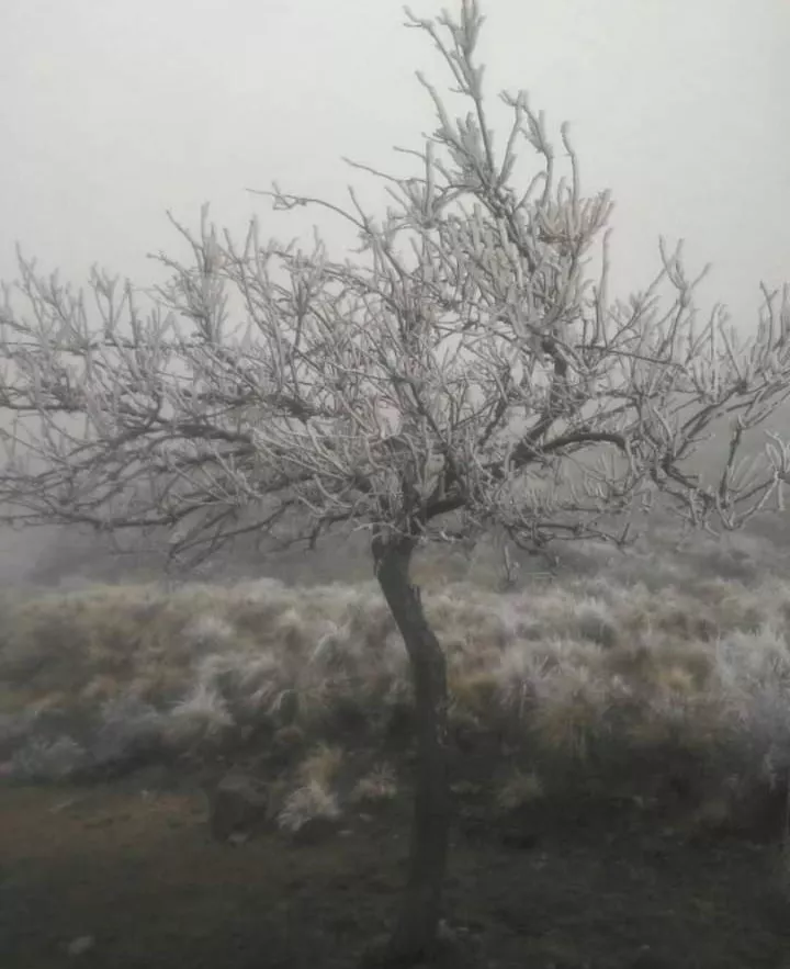 FB_IMG_1656104709767