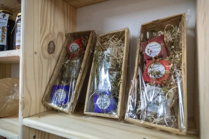 FB_IMG_1652218994259