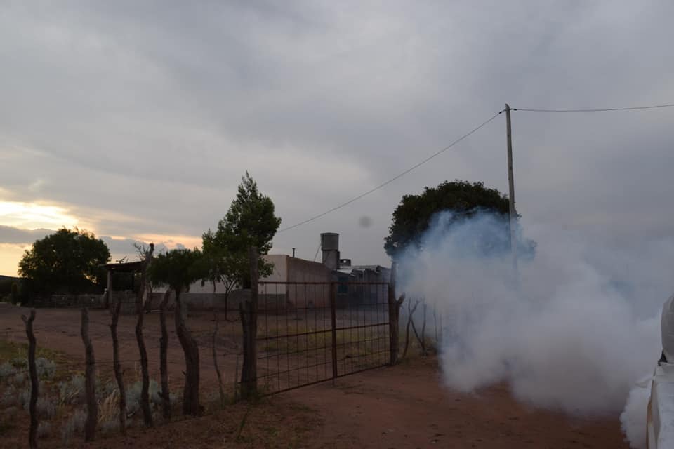 89656730_2884786514897868_8428910594421161984_n