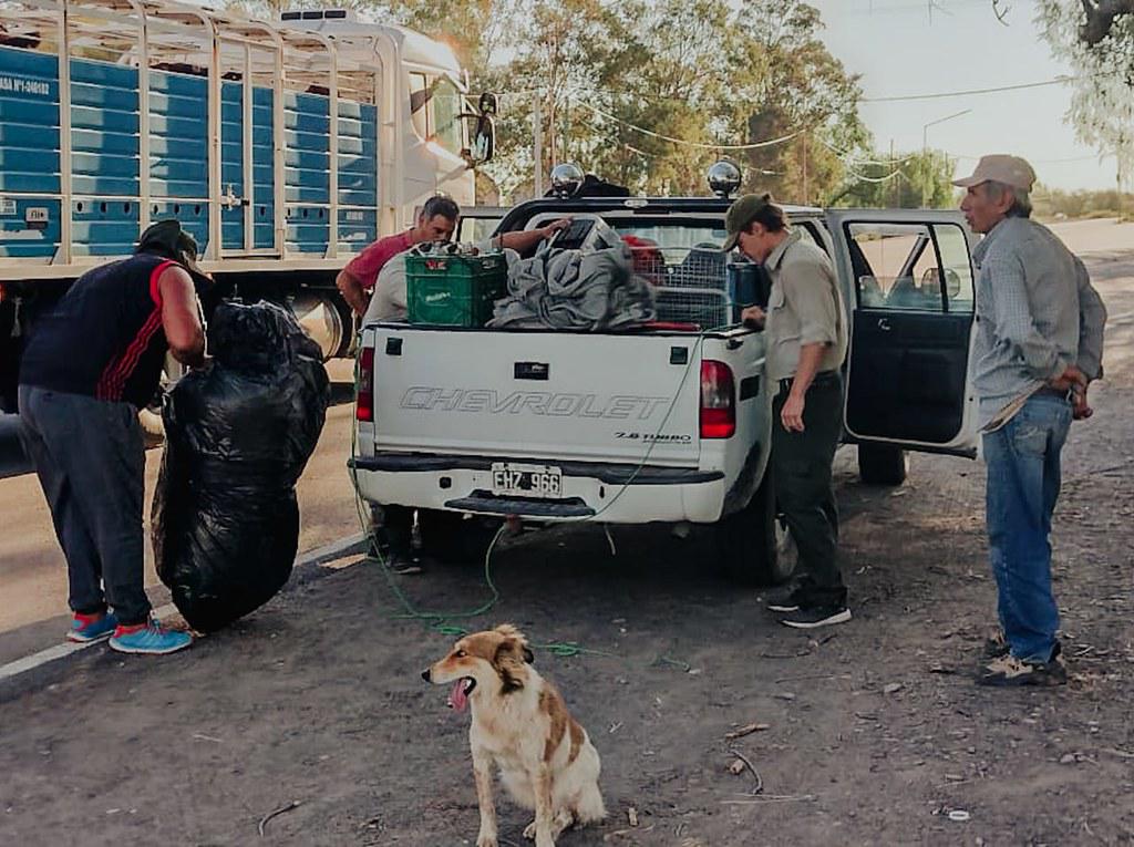 52013125841_74f881c62a_b