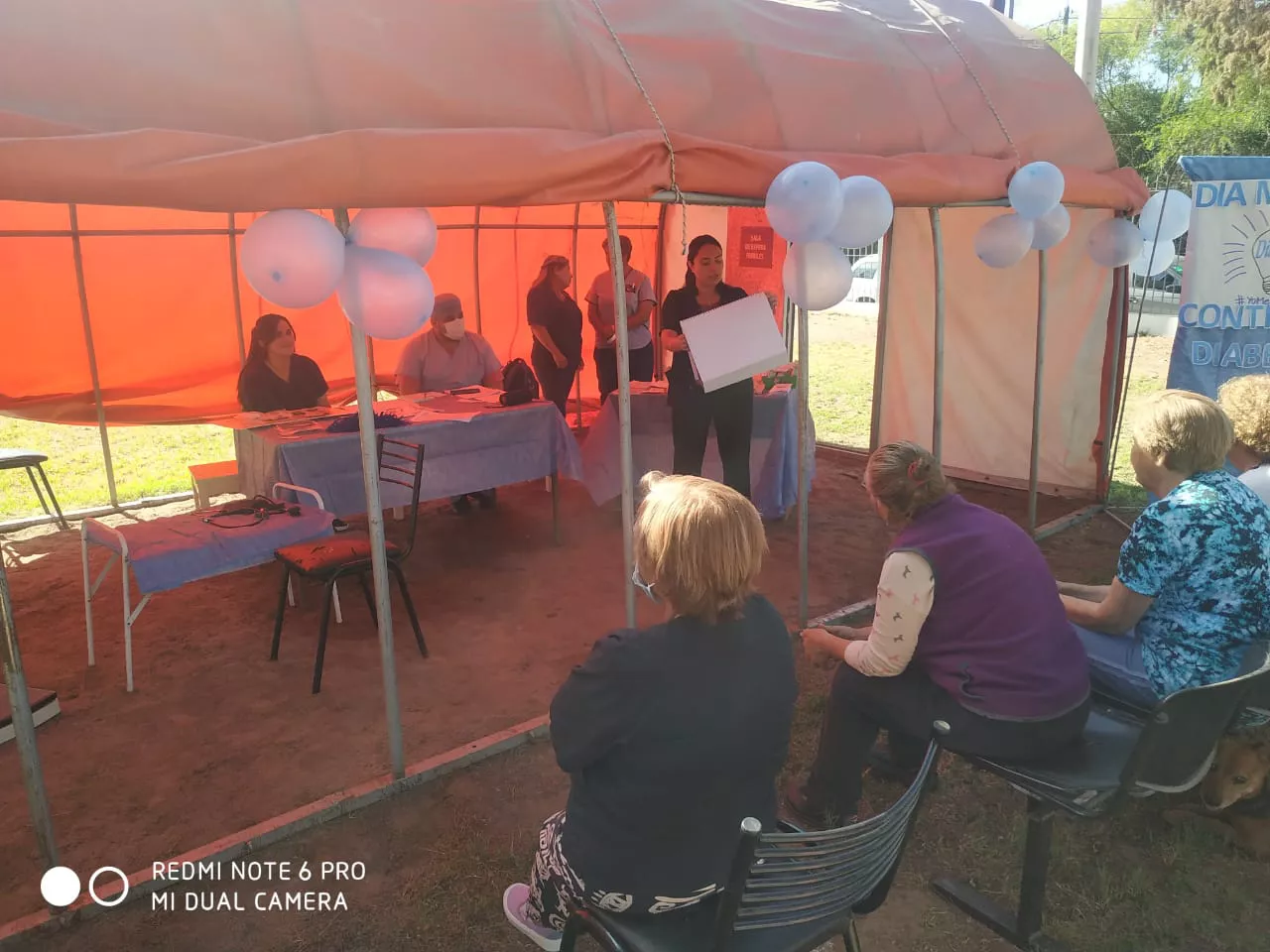 315646960_850264619636604_7935905193250741880_n