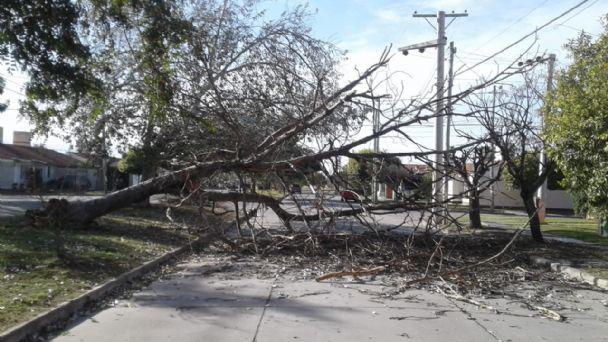 f608x342-53956_83679_3