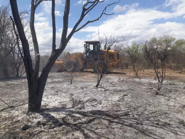 FB_IMG_1669862344871