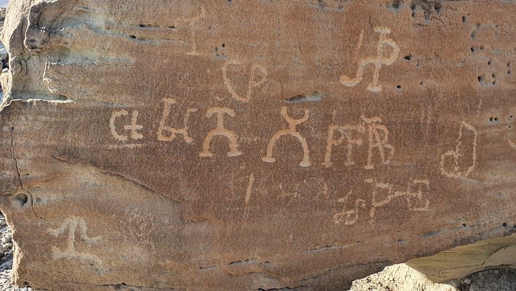 52062814737_42c573fcb4_b