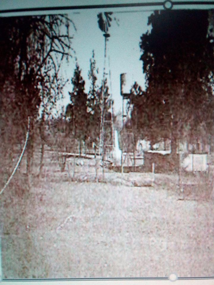 95387310_223989135574609_2352876556122062848_o