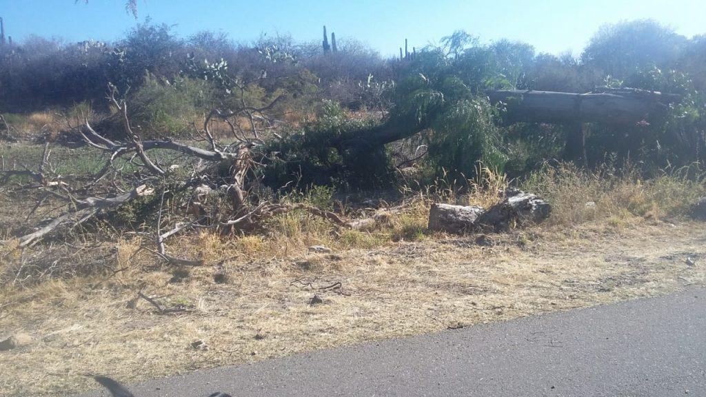 771cda16-4797-48ae-a28a-cae0d86e7808-1024x576