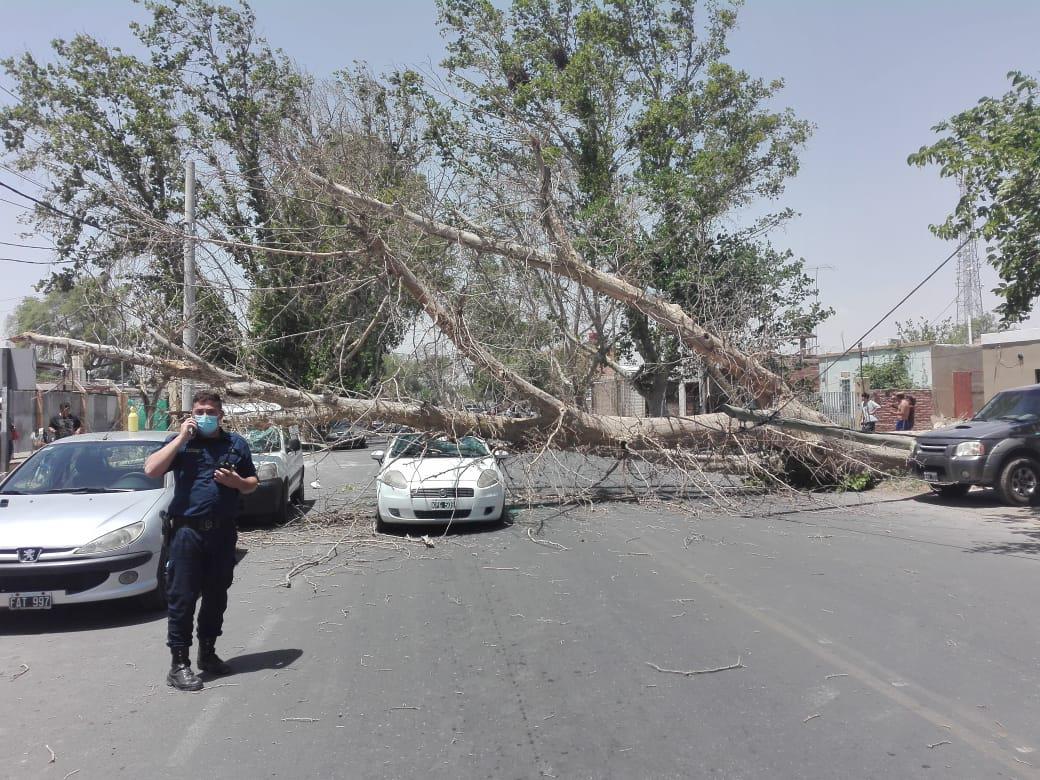 WhatsApp-Image-2021-11-13-at-2.39.41-PM