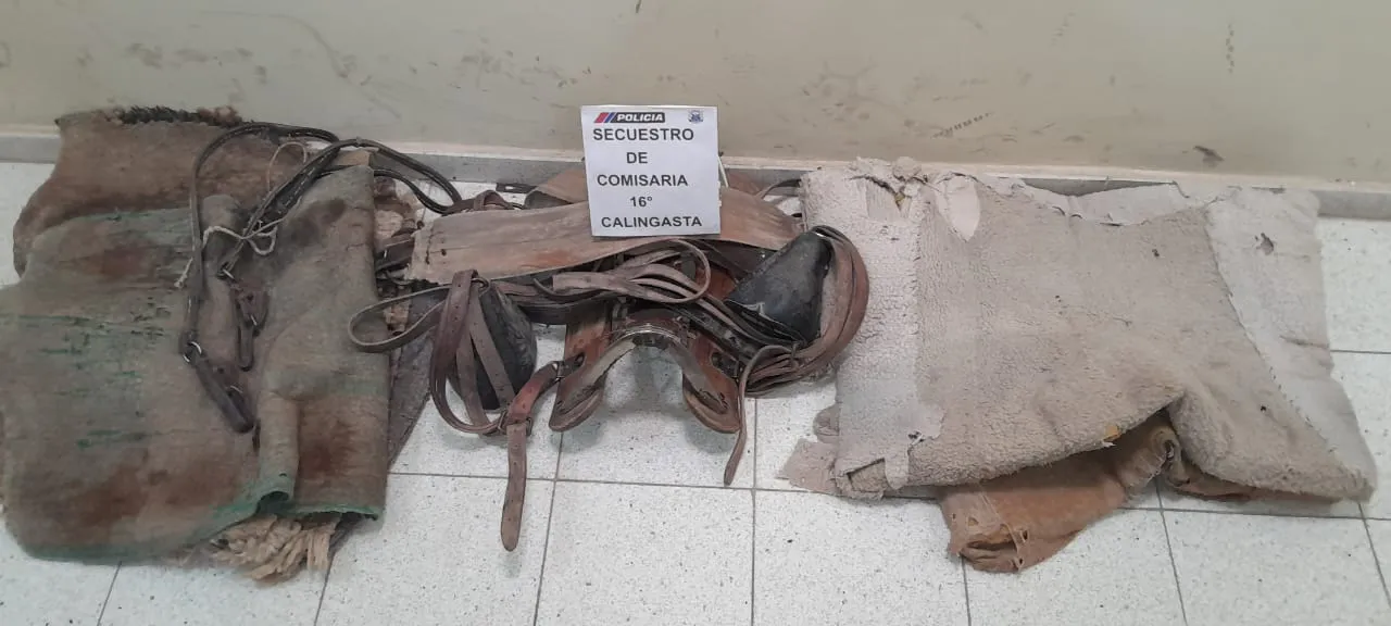 310fc9da-c29b-46ff-a98c-3bc41334c302