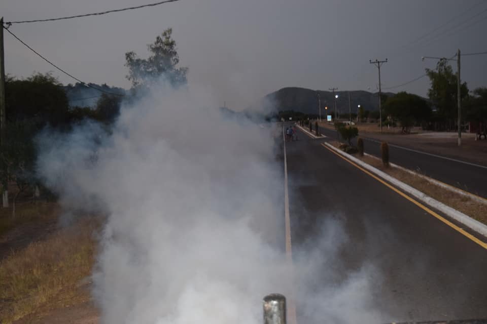 88301445_2885521838157669_5611772713828876288_n