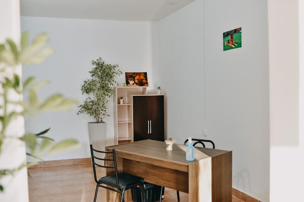 51385150736_ba5d347a59_b