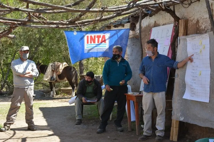 f2p5verdebis.jpg_1264874701