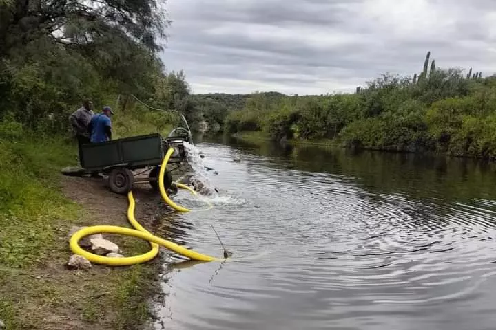 FB_IMG_1680730551613