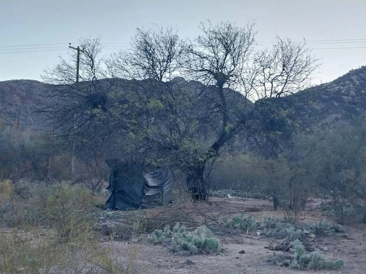 383833553_122099091122061300_7499013095422160390_n