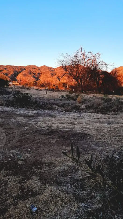 358660833_6452767014804526_7626486516890897060_n