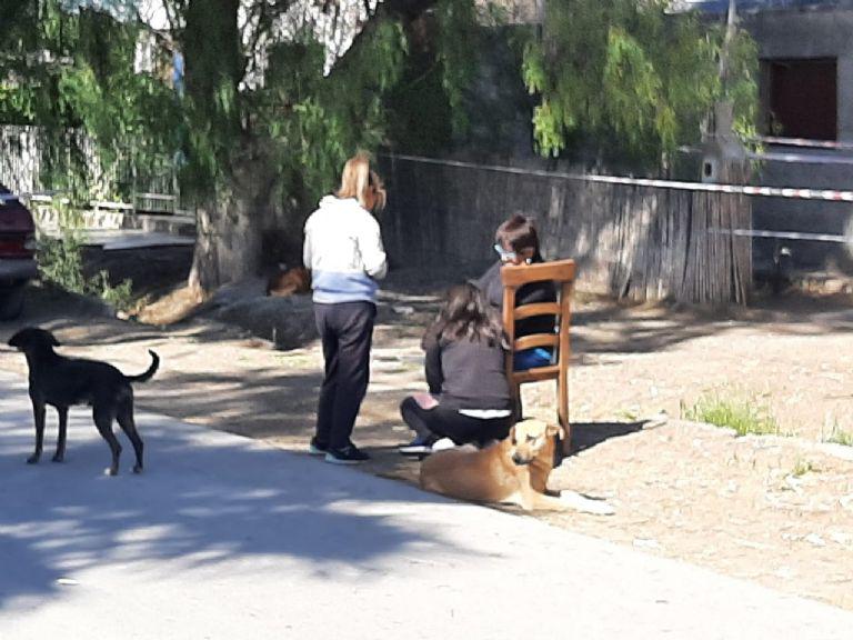 Femicidio-en-Sarmiento