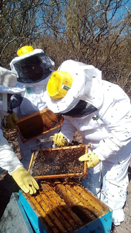 FB_IMG_1651428603700