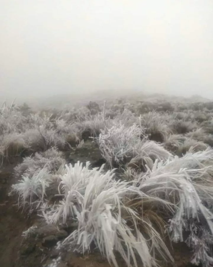 FB_IMG_1656104712842