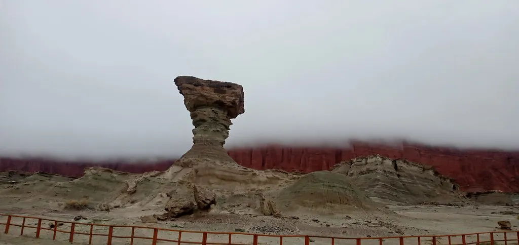 52933263894_f1a99a47f7_b