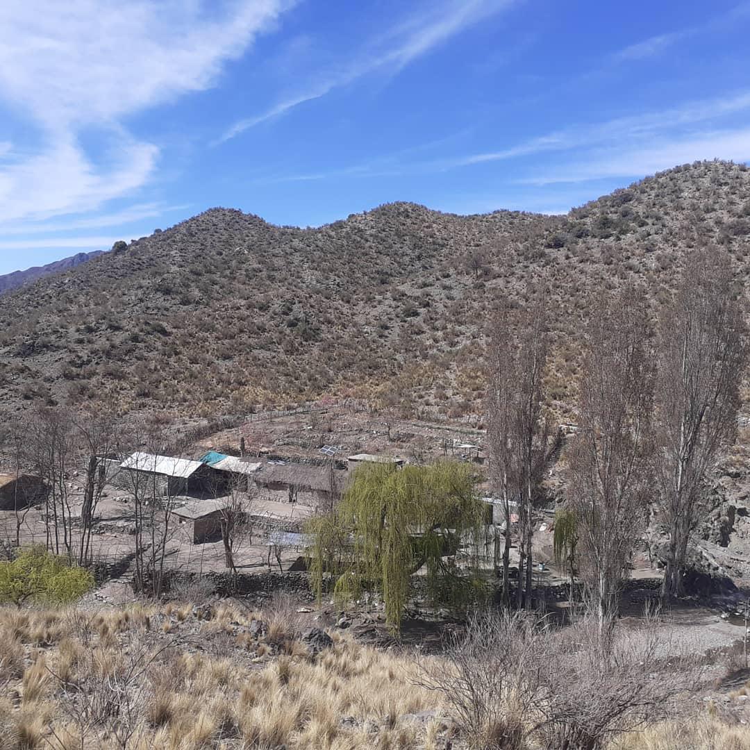 241694259_10158375924341198_573048481090201392_n